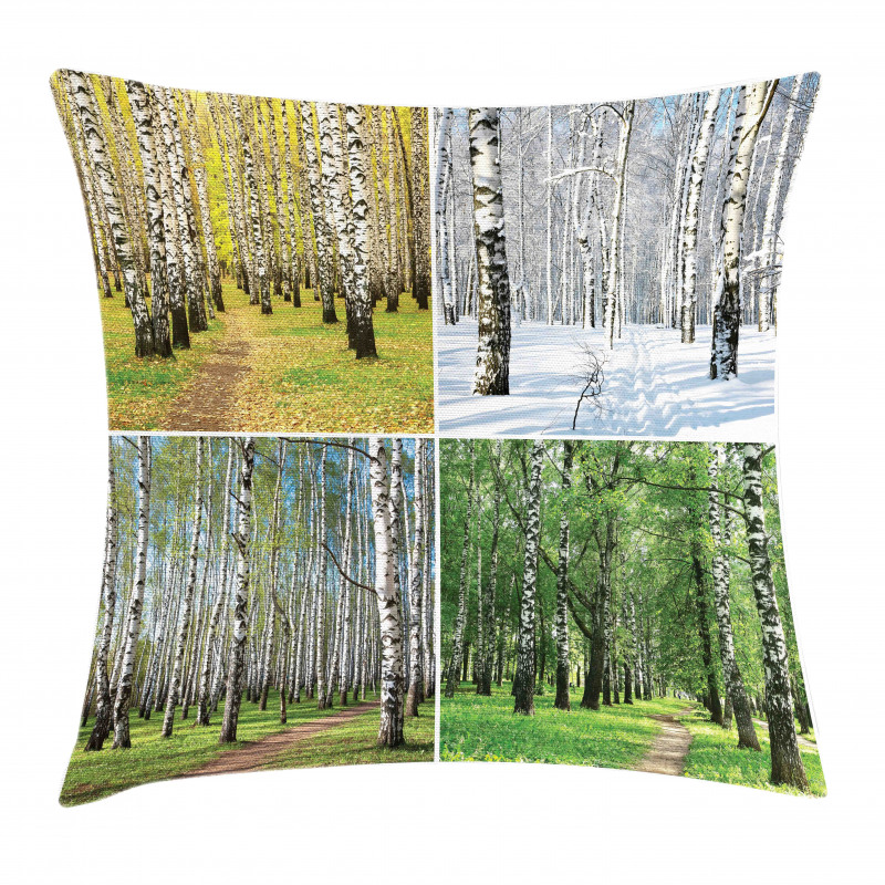 Fall Winter Birch Tree Pillow Cover