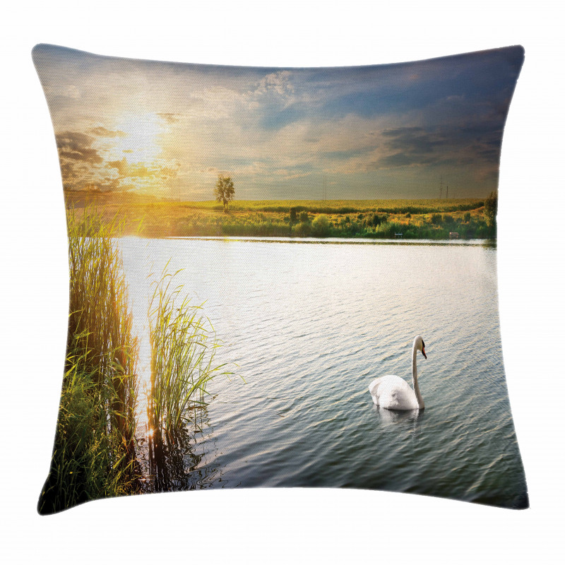 Swan in River at Dawn Photo Pillow Cover