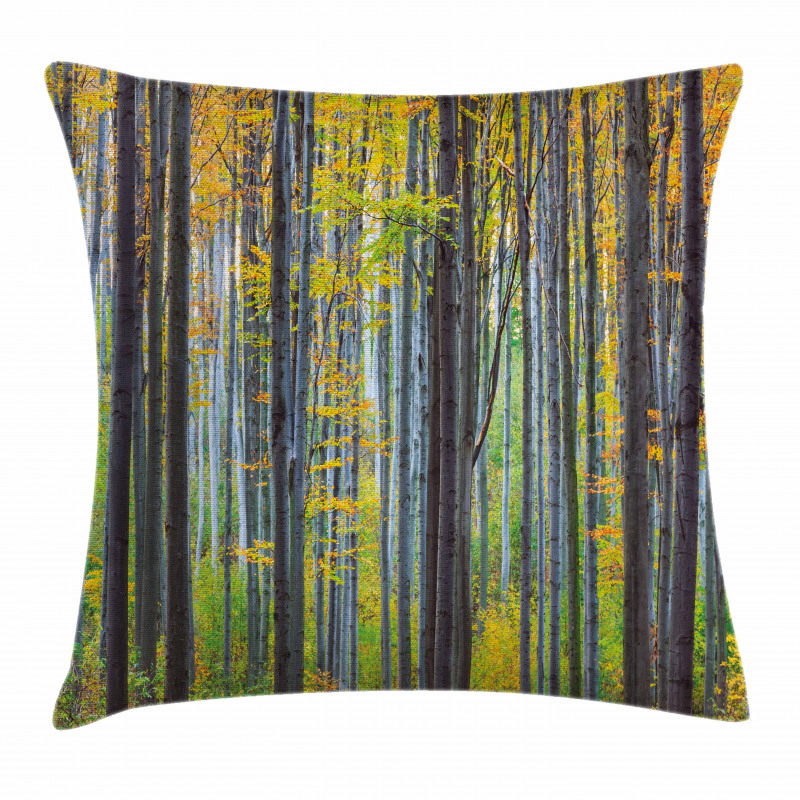 Autumn Season Beech Forest Pillow Cover