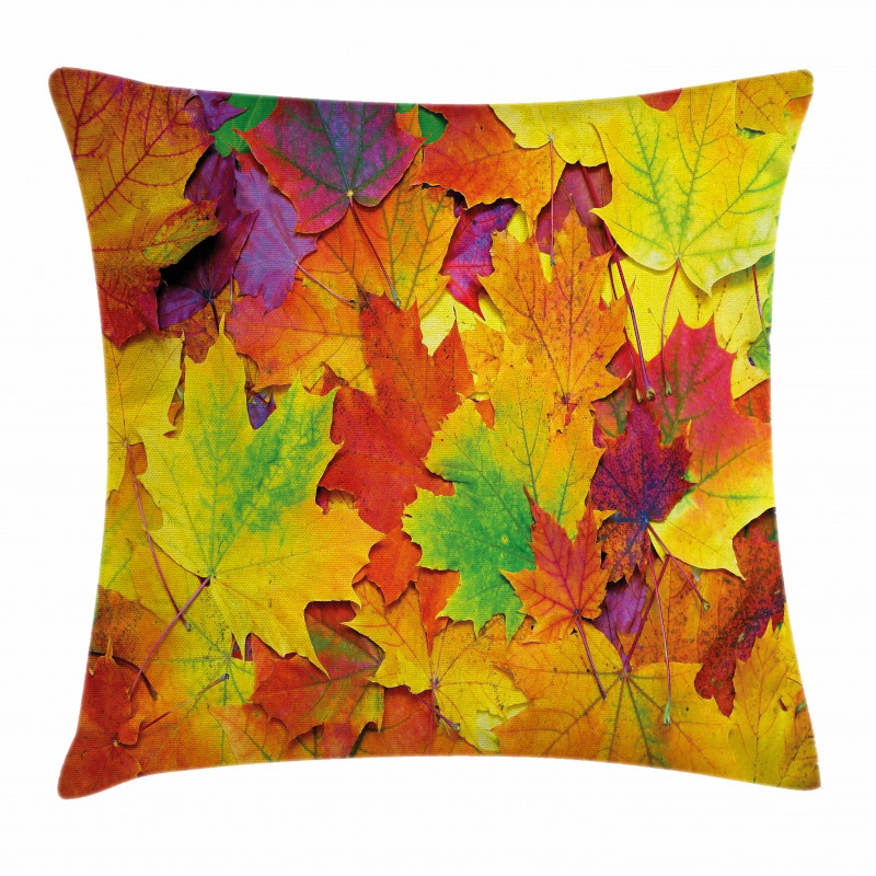 Colorful Maple Leaves Pillow Cover