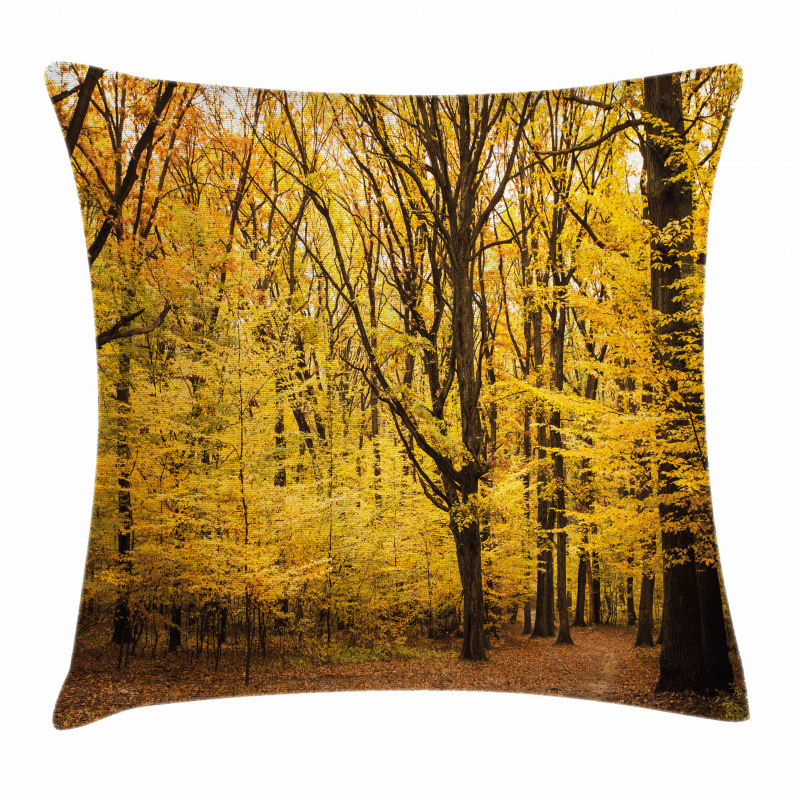 Autumn in Nature Theme Pillow Cover