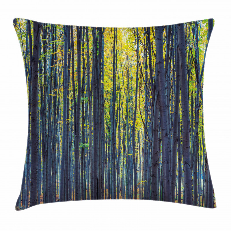 Autumn Woodland Nature Pillow Cover
