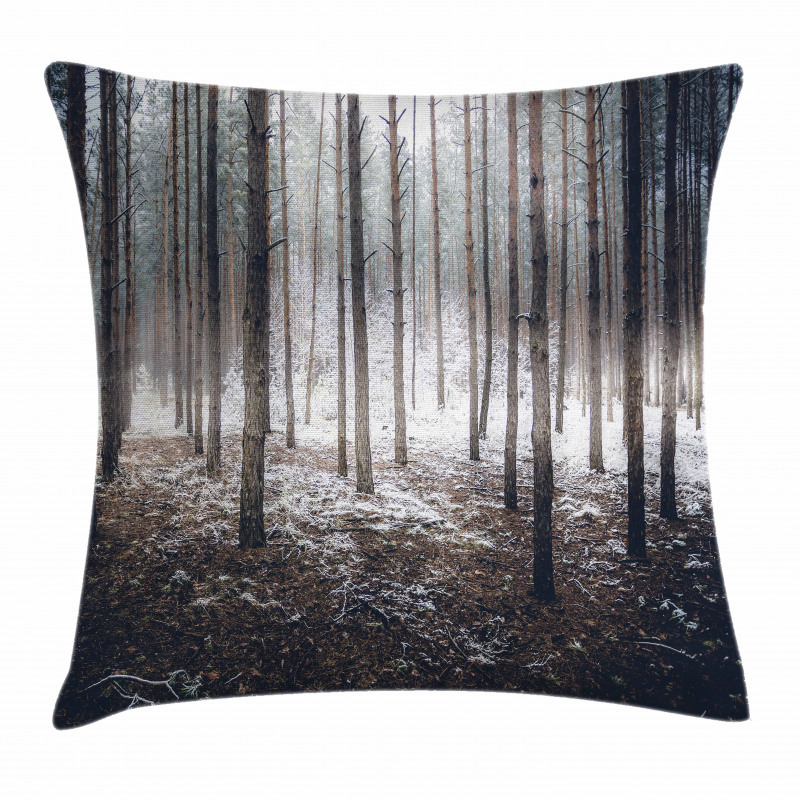 Nature Mystic Dark Pillow Cover