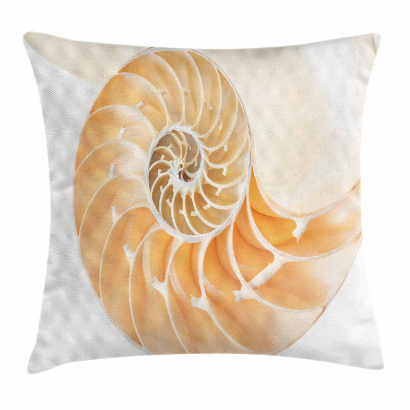 Curves Helix Design Pillow Cover