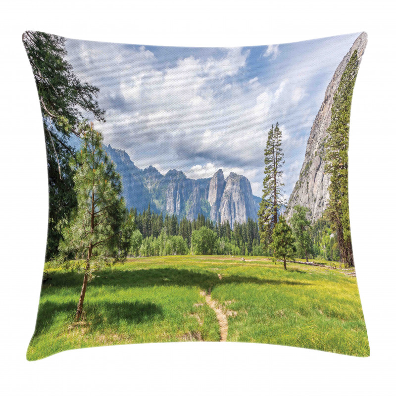 Nature Valley Meadow Pillow Cover