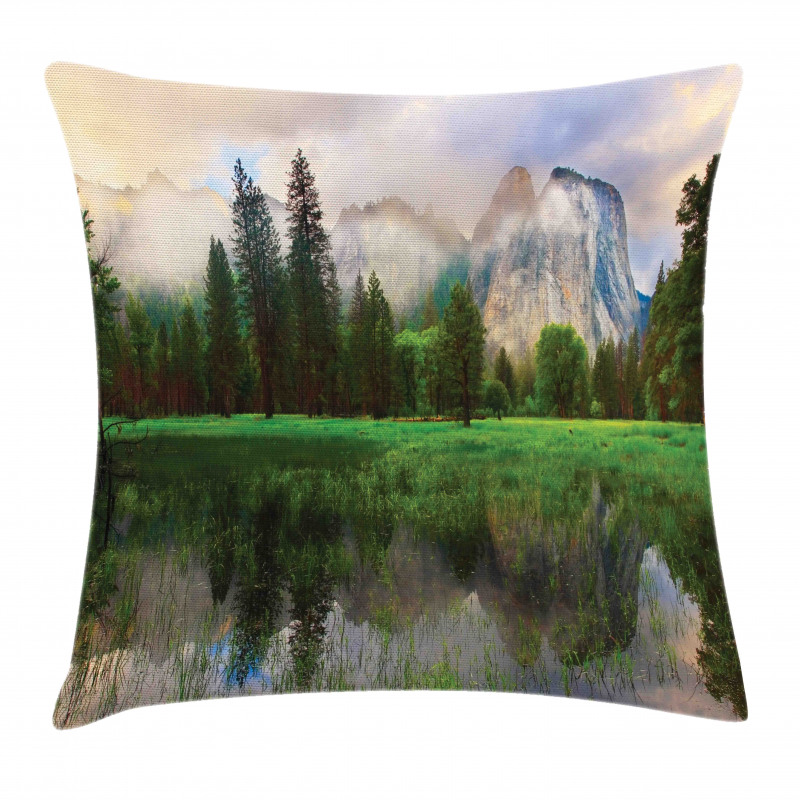 Yosemite Tree Pillow Cover