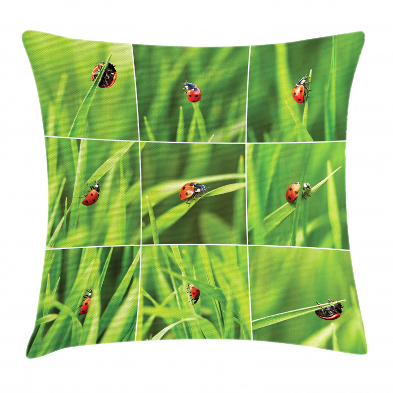 Ladybug over Fresh Grass Pillow Cover