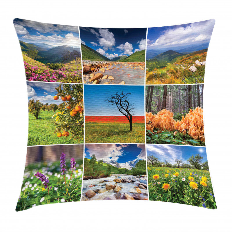 Springtime Countryside Pillow Cover