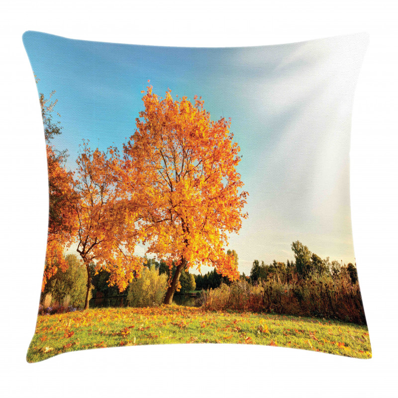 Maple Tree in Autumn Pillow Cover