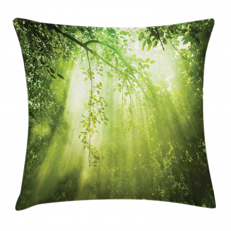 Sunbeams in Woodland Pillow Cover