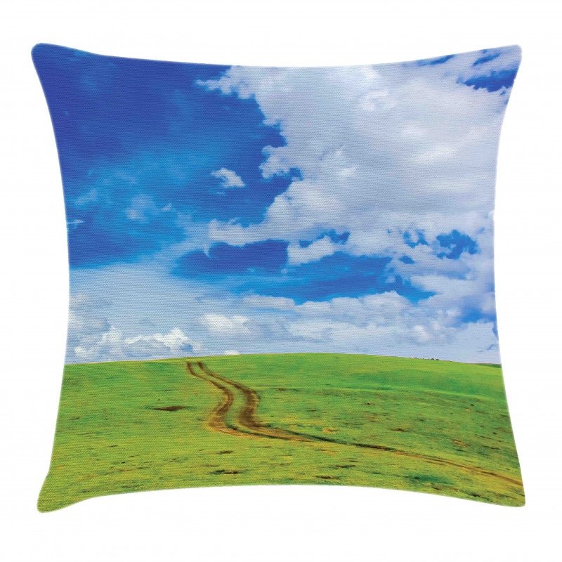 Path in Meadow Rural Pillow Cover
