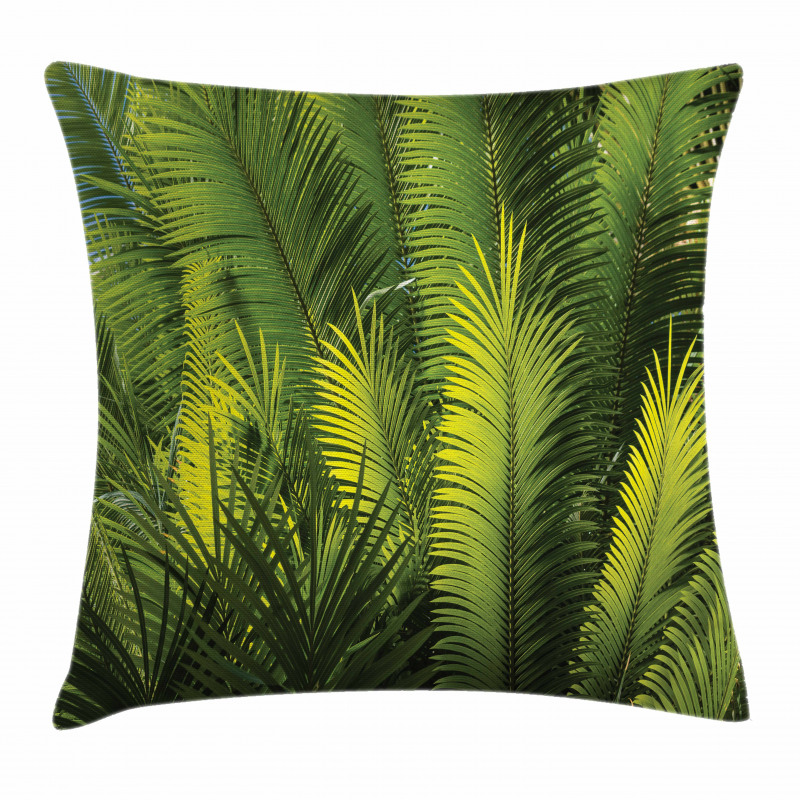 Palm Trees Exotic Pillow Cover