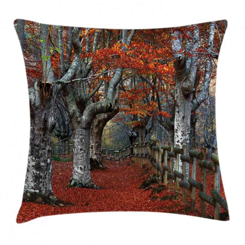 Beech Forest Autumn Pillow Cover