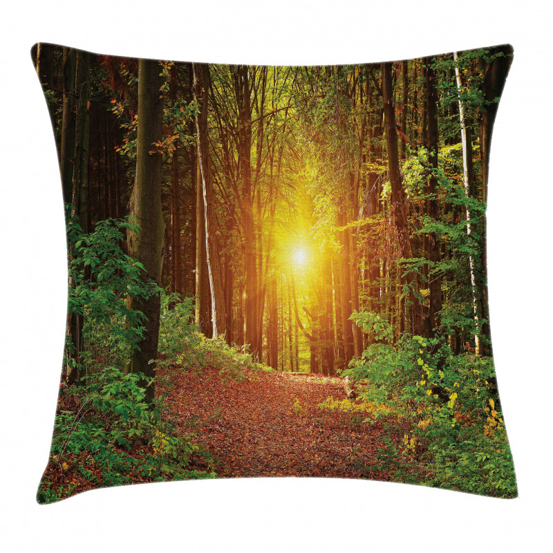 Pathway to Timberland Pillow Cover