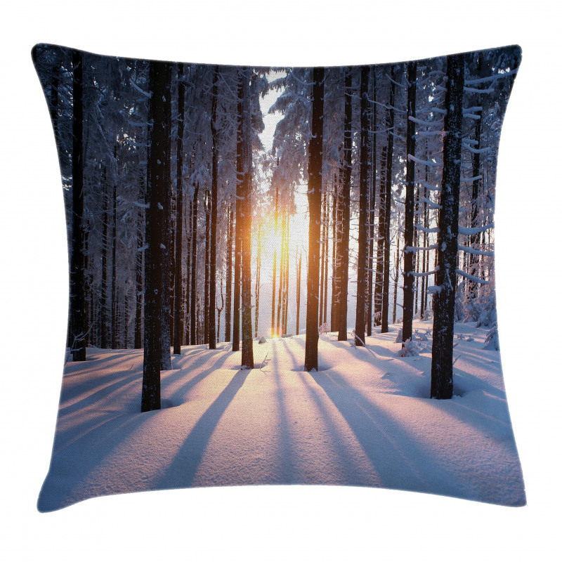 Sunset at Wintertime Pillow Cover