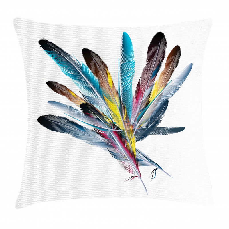 Colorful Feathers Old Pen Pillow Cover
