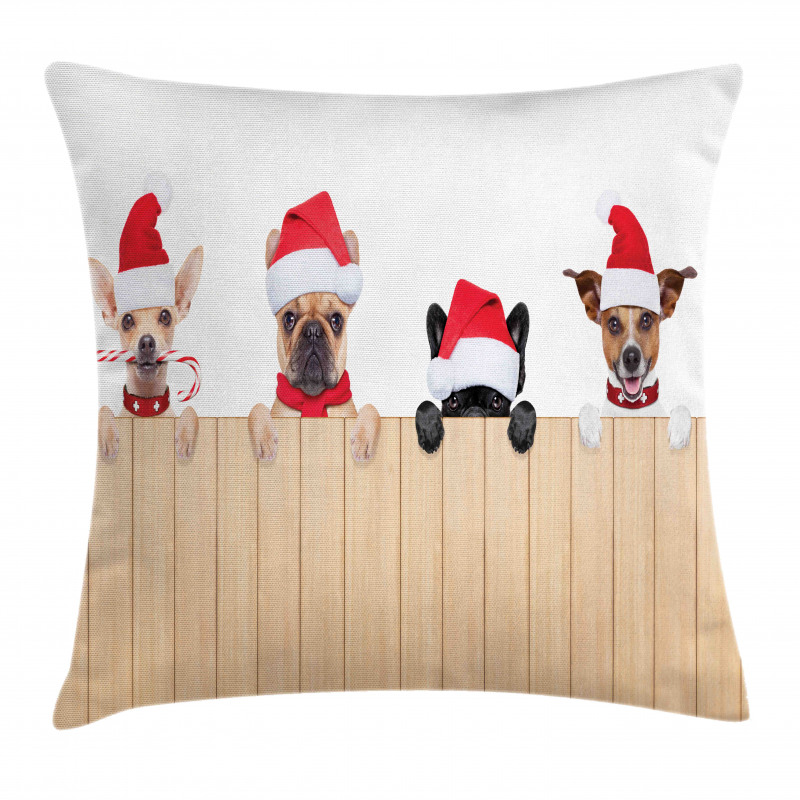 Wooden Fences Humor Pillow Cover