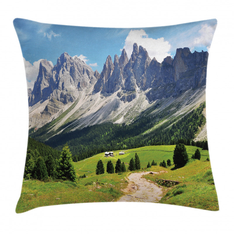 Pathway to Forest Alps Pillow Cover