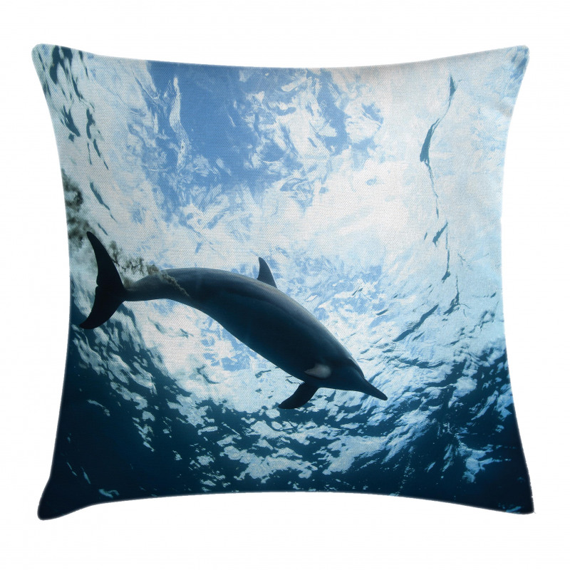 Swimming Dolphin Pillow Cover