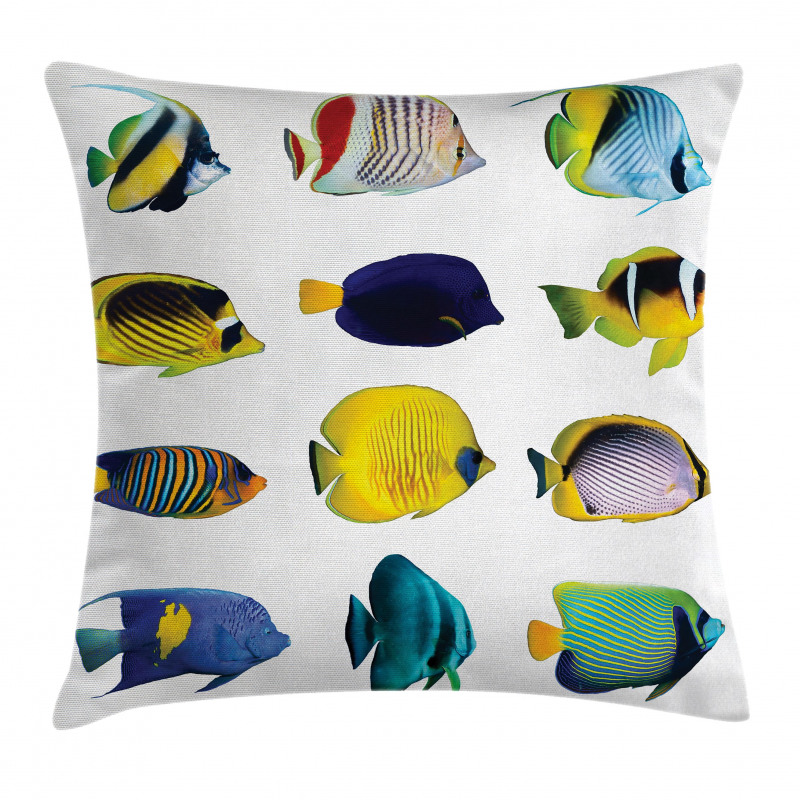 Collage of Sea Animals Pillow Cover