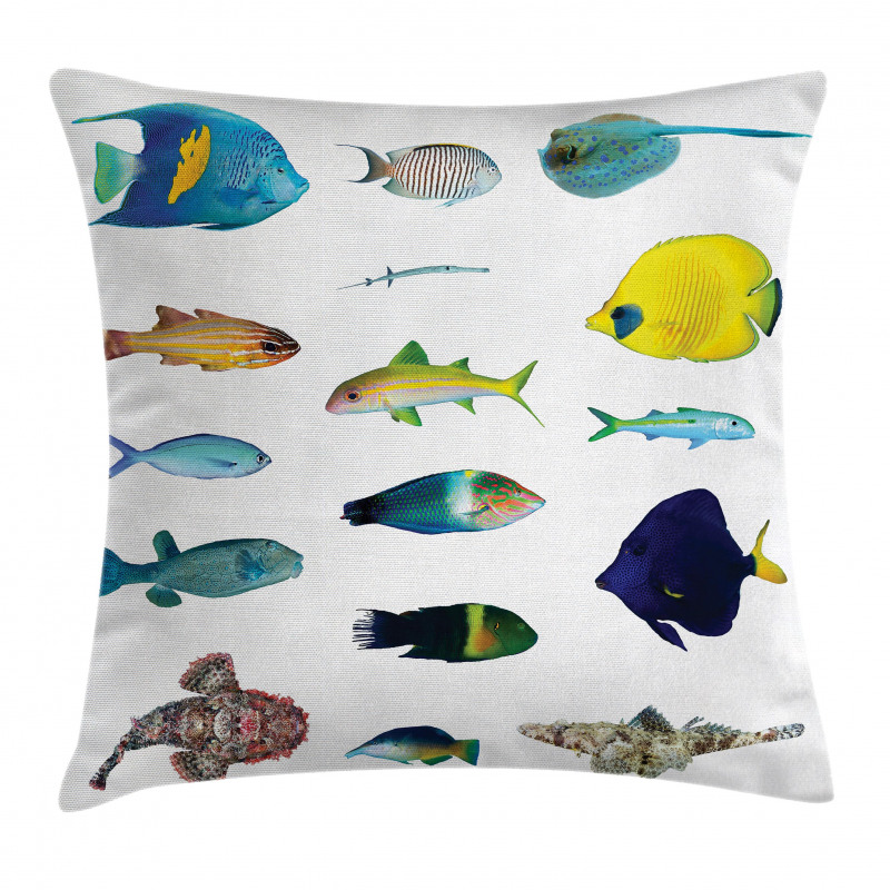 Marine Life Creatures Pillow Cover