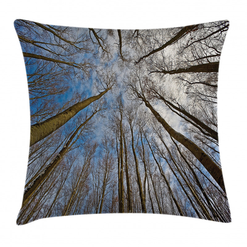 Clouds Morning Scene Pillow Cover