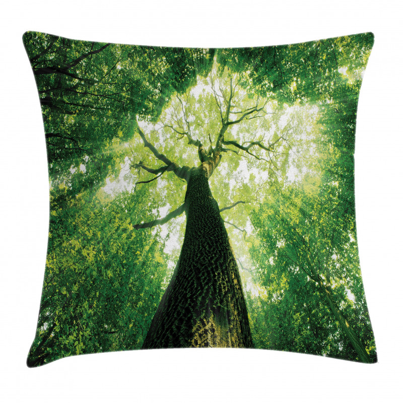 Summer Rays in Wild Pillow Cover