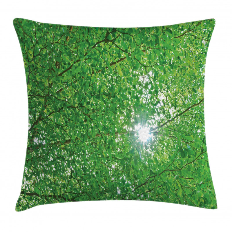 Sun with Tree Branches Pillow Cover