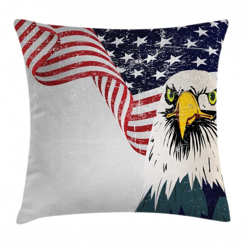 4th of July Country Pillow Cover
