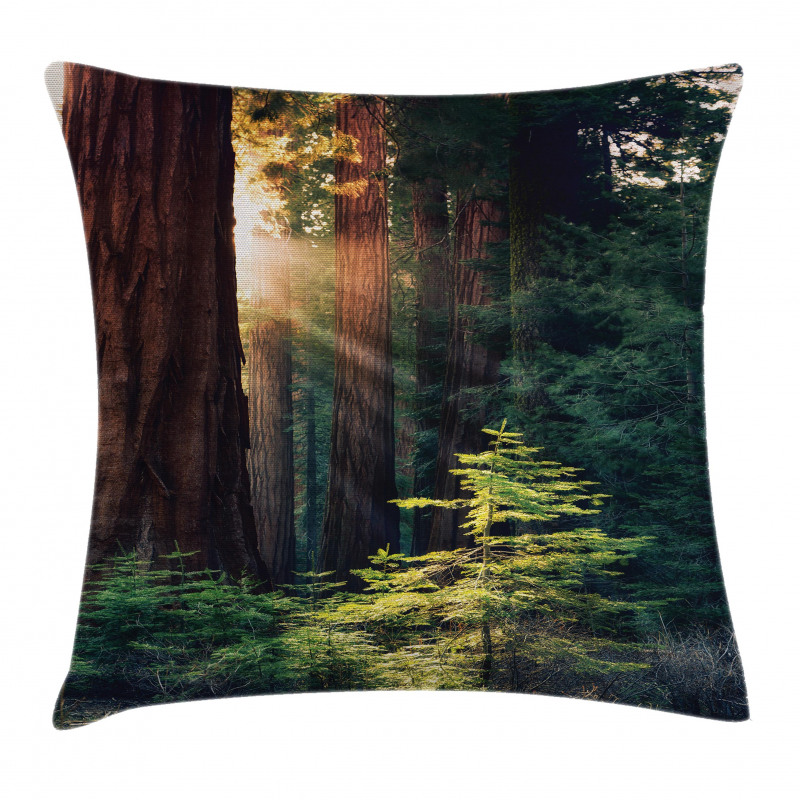 Nevada Morning Sun Pillow Cover