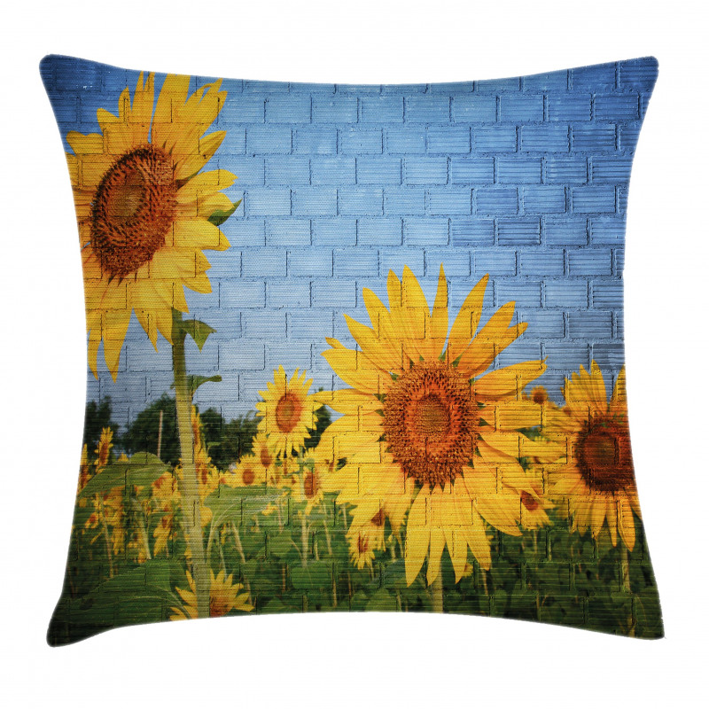 Sunflowers on the Wall Pillow Cover
