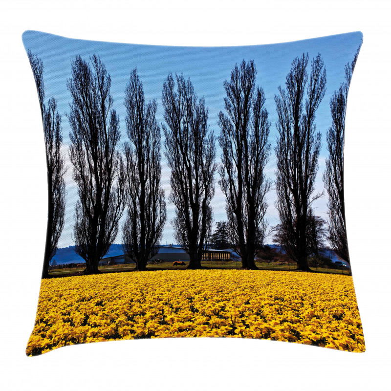 Washington Valley Pillow Cover