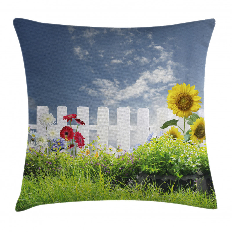 Daisy Flowers in Yard Pillow Cover