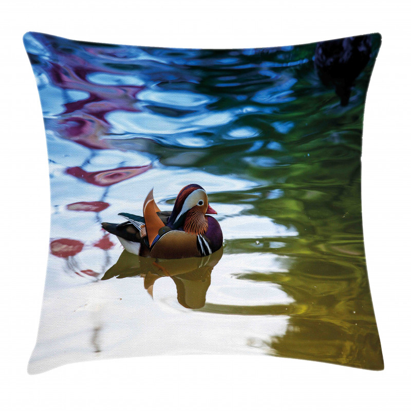 Chinese Ducks in River Pillow Cover