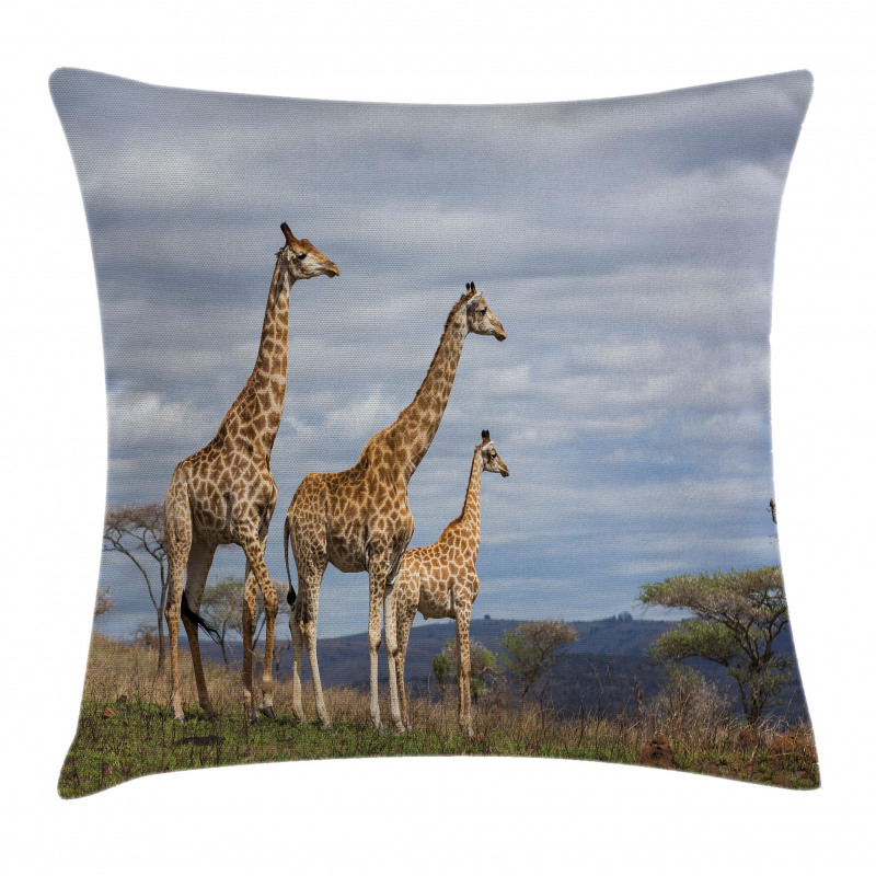 Giraffe Family Pillow Cover
