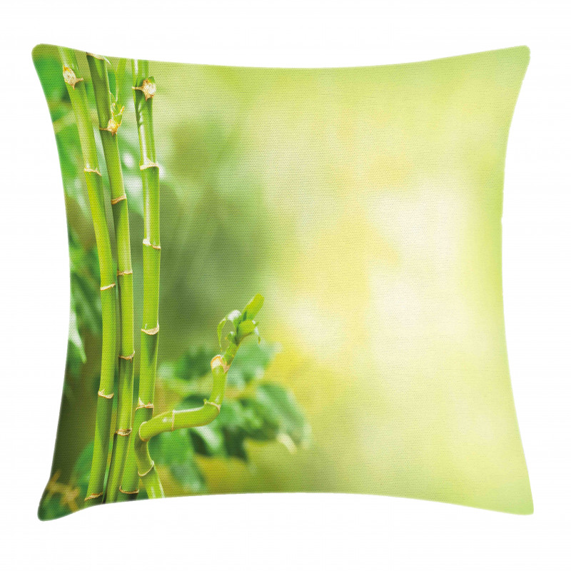 Bamboos Green Trees Pillow Cover