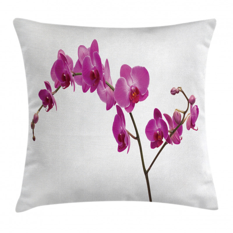 Wild Orchids Petals Pillow Cover