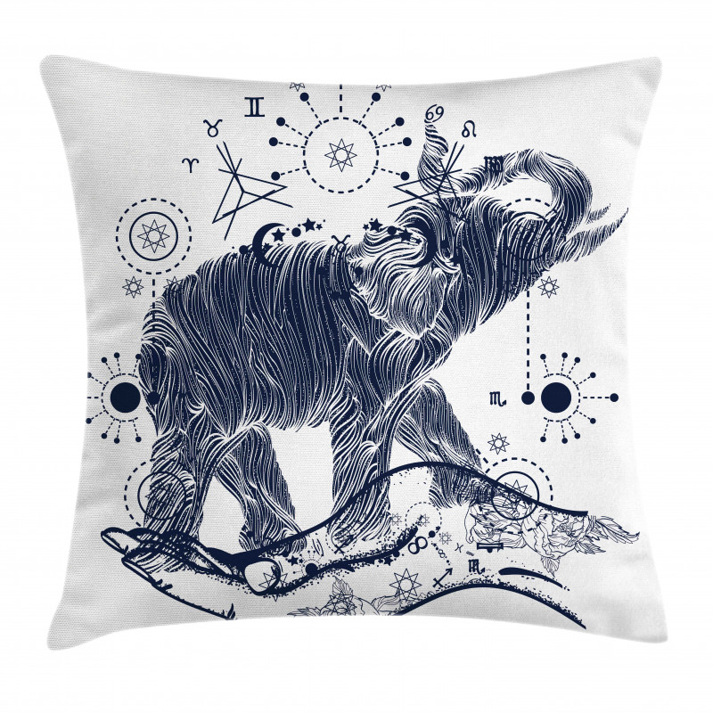 Occult Pillow Cover