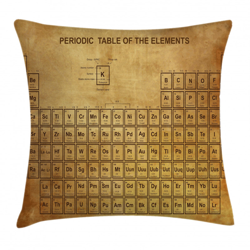 Vintage Chemistry Table Pillow Cover