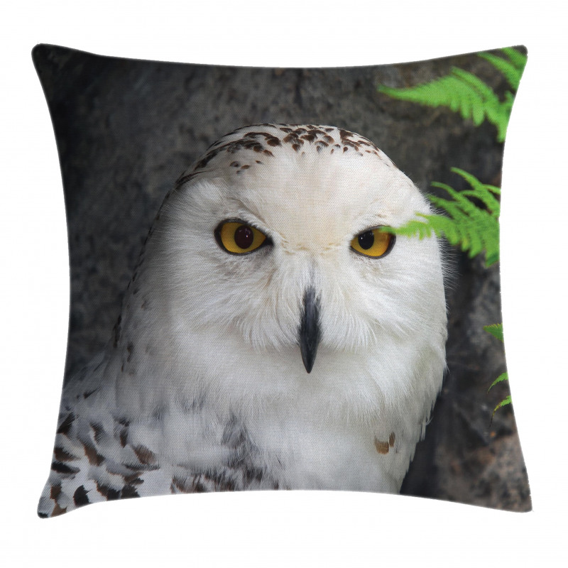 Magician Pet White Owl Pillow Cover