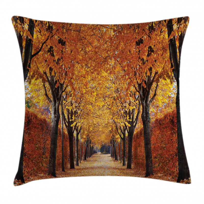 Pathway in the Woods Pillow Cover