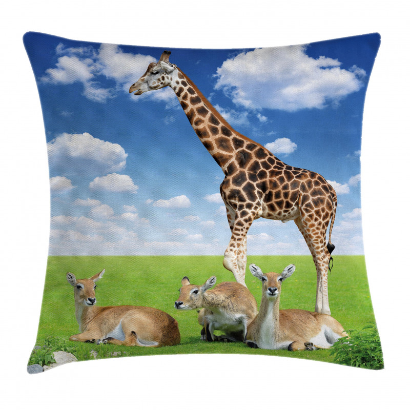 Zoo Animals Pillow Cover