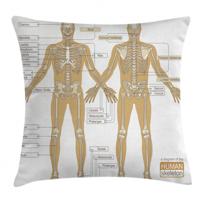 Human Skeleton System Pillow Cover