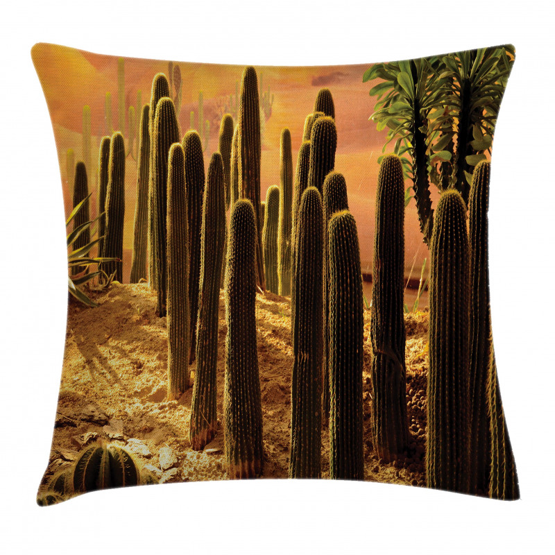 Sunset in Wild Desert Pillow Cover