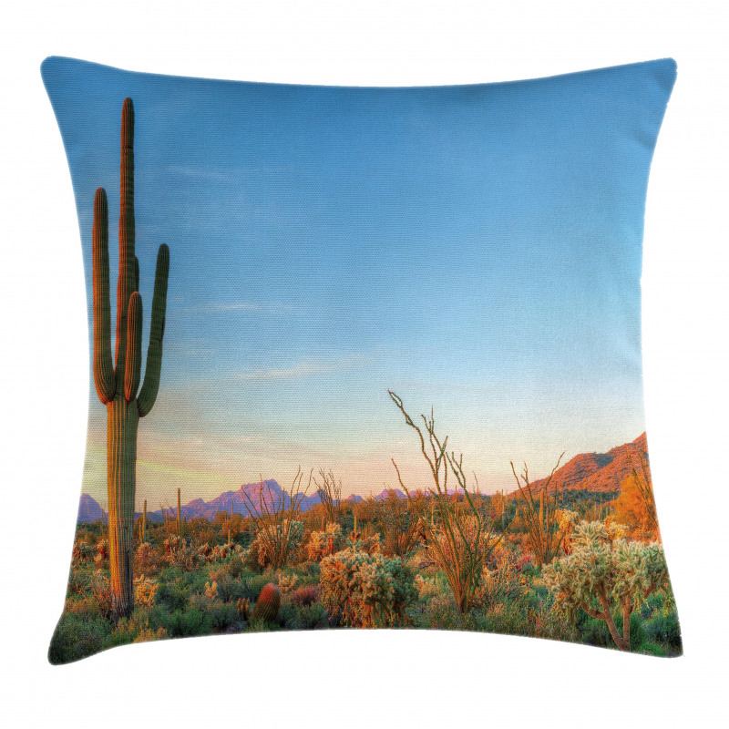 Cactus Sunset Landscape Pillow Cover