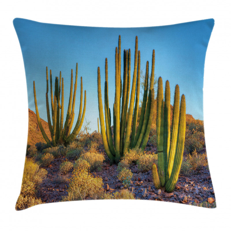Mountain Cactus Photo Pillow Cover