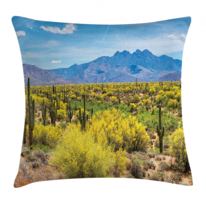 Landscape of Desert Pillow Cover