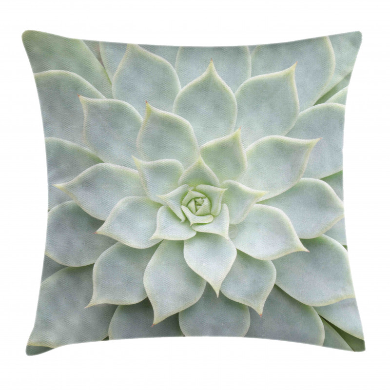 Cactus Flowers Photo Pillow Cover