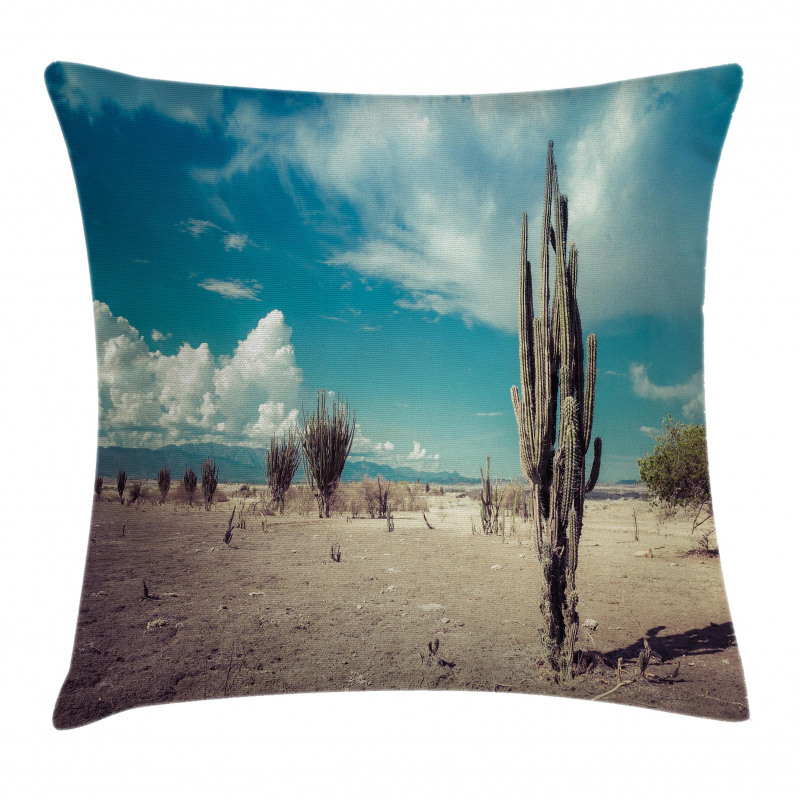 Sunny Hot Desert Plant Pillow Cover