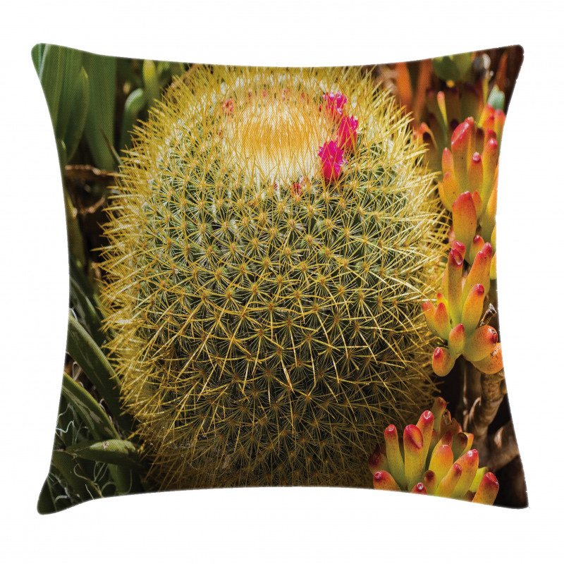 Cactus Plant with Spikes Pillow Cover